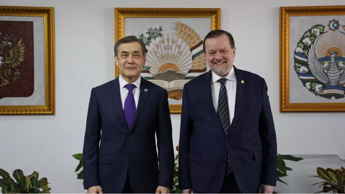 20251126022112861892.png image.png